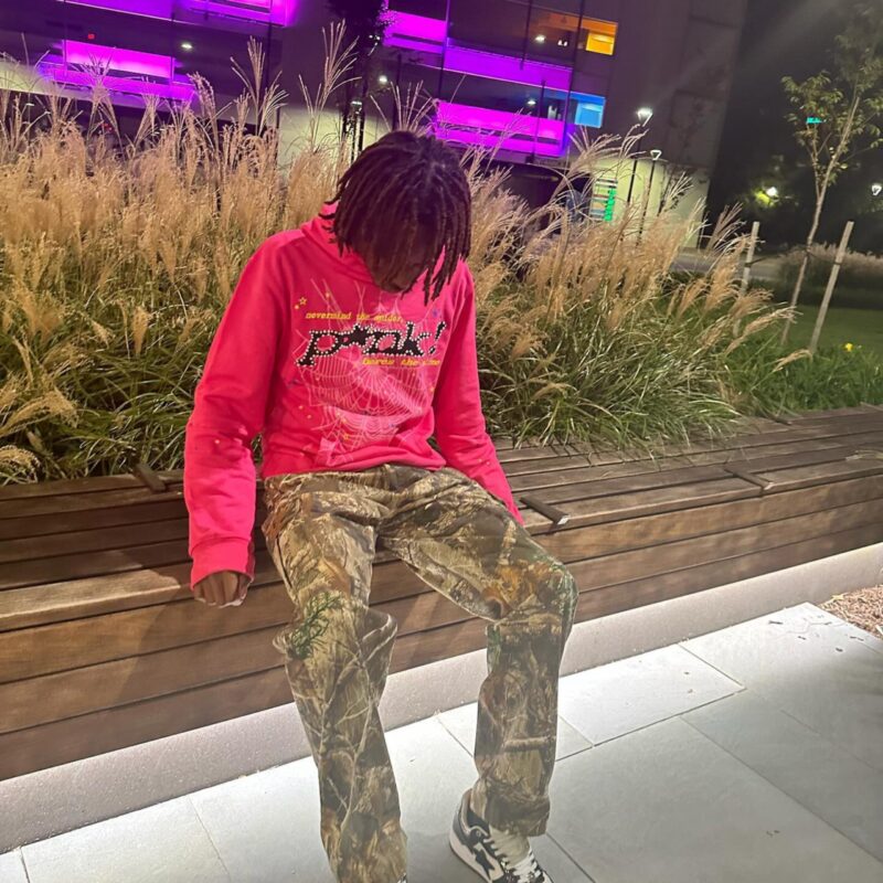 Pink Sp5der Hoodie