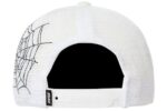 Sp5der Web Trucker